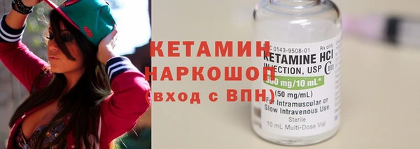 твердый Дмитровск