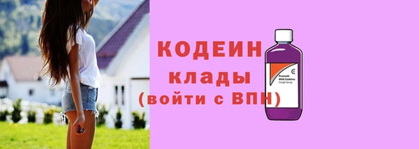 твердый Дмитровск