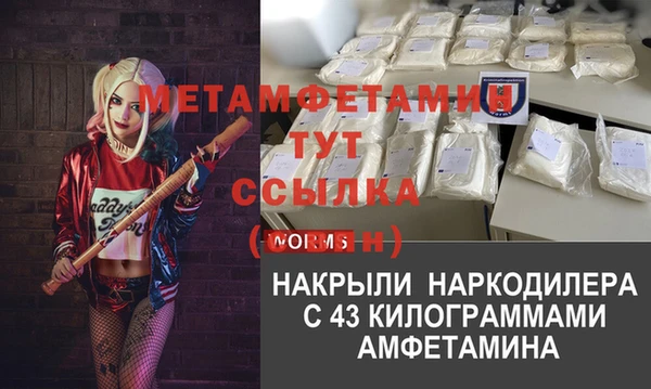 мяу мяу мука Дмитриев