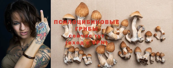 дмт Гусиноозёрск