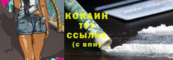 твердый Дмитровск